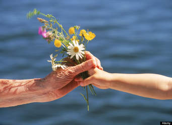 A Life of Kindness & Love