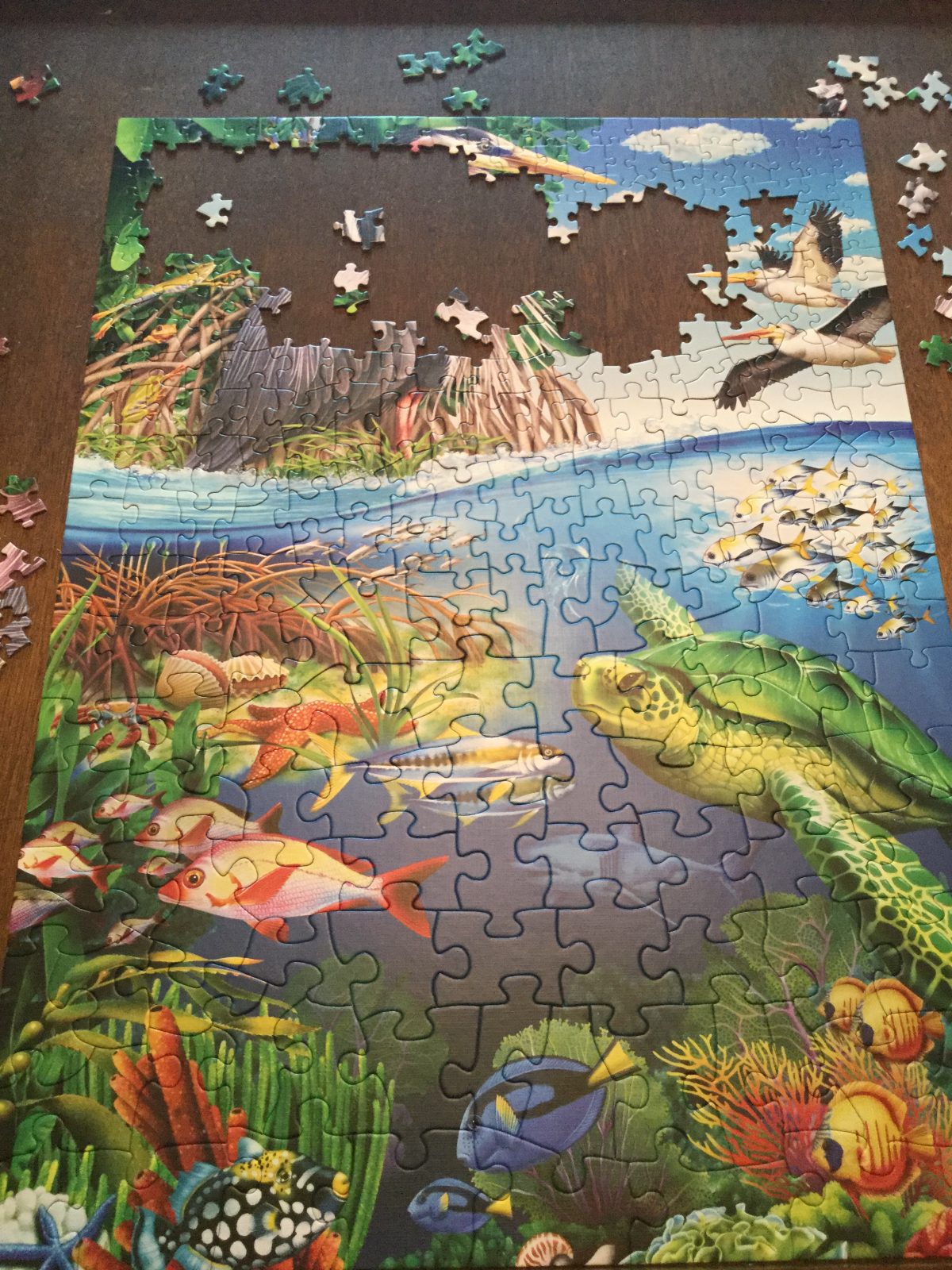 Puzzle Pieces