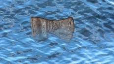 When the Axe Head Floats