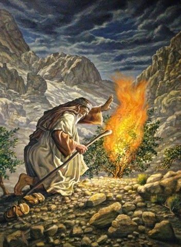 What’s Your Burning Bush