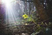 Finding Hope Amid the Hopelessness