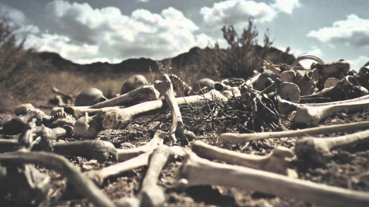 Can These Dry Bones Live?