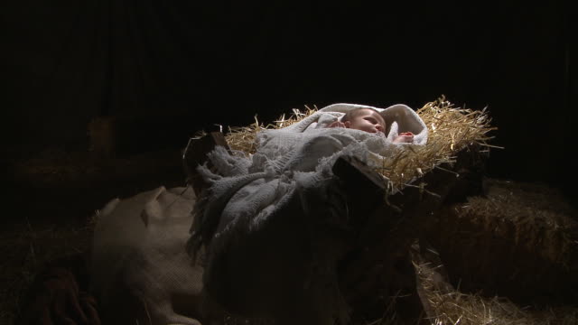 Why a Baby?